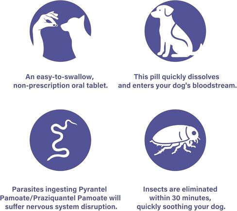 De-Wormer for Puppies and Small Dogs, Dewormer Chewables, (pyrantel pamoate/praziquantel) Controls Tapeworms, Roundworms & Hookworms, Easy to Administer Canine Worm Treatment in Kuwait