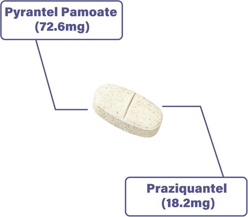 De-Wormer for Puppies and Small Dogs, Dewormer Chewables, (pyrantel pamoate/praziquantel) Controls Tapeworms, Roundworms & Hookworms, Easy to Administer Canine Worm Treatment in Kuwait