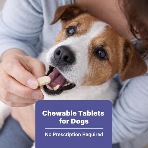 De-Wormer for Puppies and Small Dogs, Dewormer Chewables, (pyrantel pamoate/praziquantel) Controls Tapeworms, Roundworms & Hookworms, Easy to Administer Canine Worm Treatment in Kuwait