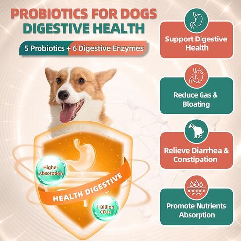 Dog Multivitamin with Glucosamine, Omega 3, Minerals, Probiotics and Enzymes, Dog Vitamins and Supplements for Joint, Skin & Coat Care, Digestive and Immune Health, Chicken Flavor - 120 Chews in Kuwait