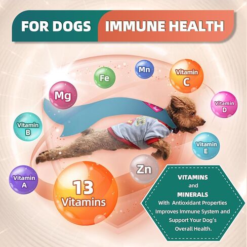 Dog Multivitamin with Glucosamine, Omega 3, Minerals, Probiotics and Enzymes, Dog Vitamins and Supplements for Joint, Skin & Coat Care, Digestive and Immune Health, Chicken Flavor - 120 Chews in Kuwait