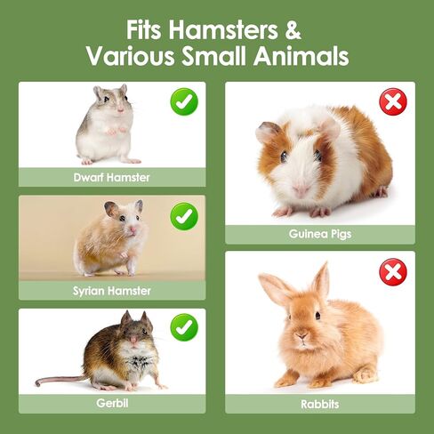 Hamster Cage Acrylic Hamster Habitat 360 Viewing Transparent Pet Rat Cage with Running Wheel & Hideout for Dwarf/Syrian Hamsters, Mice & Gerbils, Green, 13.3" L*10.2" W*12.4" H in Kuwait