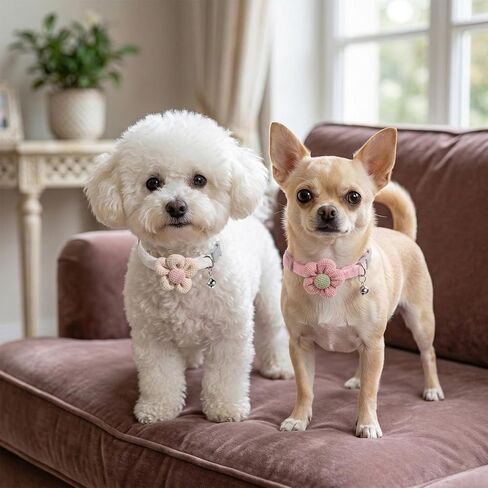 2 Pack Small Floral Dog Collar with Bell, Puppy Collar with Bell and Flower Adjustable Dog Collars Soft Safety Pet Collars with Safety Buckle for Boy Girl Dogs, Pink, Yellow in Kuwait