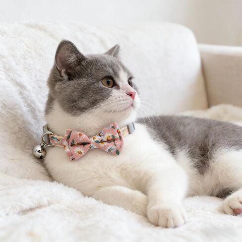 4 Pack Cute Cat and Puppy Collar with Removable Bow Tie and Bell, Adjustable Fit Kitten Collars for Cats & Small Dogs, Cute Bowknot in Kuwait