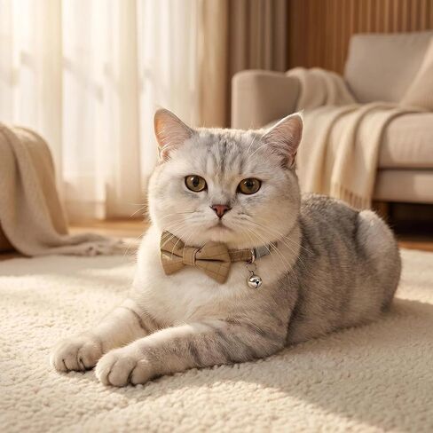 Adjustable Plaid Bow Tie Pet Collar with Bell - Nylon, Perfect for Small Cats & Dogs(Khaki) in Kuwait