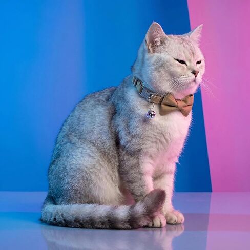 Adjustable Plaid Bow Tie Pet Collar with Bell - Nylon, Perfect for Small Cats & Dogs(Khaki) in Kuwait