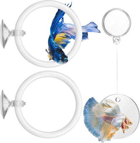 Molain Betta Fish Enrichment Toys, Betta Fish Tank Accessories 2 Training Rings 1 Mirror with Floating Ball Plastic Aquarium Enrichment Toys Set for Fishes Exercise Mental Stimulation in Kuwait
