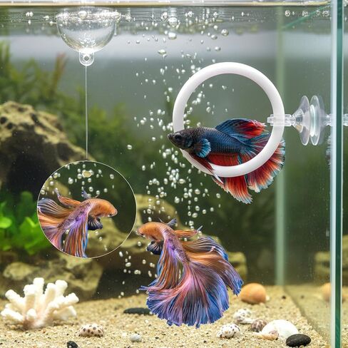 Molain Betta Fish Enrichment Toys, Betta Fish Tank Accessories 2 Training Rings 1 Mirror with Floating Ball Plastic Aquarium Enrichment Toys Set for Fishes Exercise Mental Stimulation in Kuwait