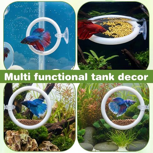 Molain Betta Fish Enrichment Toys, Betta Fish Tank Accessories 2 Training Rings 1 Mirror with Floating Ball Plastic Aquarium Enrichment Toys Set for Fishes Exercise Mental Stimulation in Kuwait