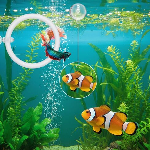 Molain Betta Fish Enrichment Toys, Betta Fish Tank Accessories 2 Training Rings 1 Mirror with Floating Ball Plastic Aquarium Enrichment Toys Set for Fishes Exercise Mental Stimulation in Kuwait