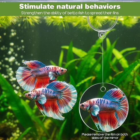 Molain Betta Fish Enrichment Toys, Betta Fish Tank Accessories 2 Training Rings 1 Mirror with Floating Ball Plastic Aquarium Enrichment Toys Set for Fishes Exercise Mental Stimulation in Kuwait
