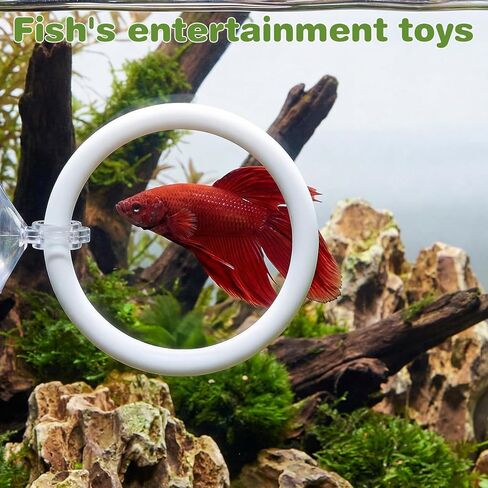 Molain Betta Fish Enrichment Toys, Betta Fish Tank Accessories 2 Training Rings 1 Mirror with Floating Ball Plastic Aquarium Enrichment Toys Set for Fishes Exercise Mental Stimulation in Kuwait