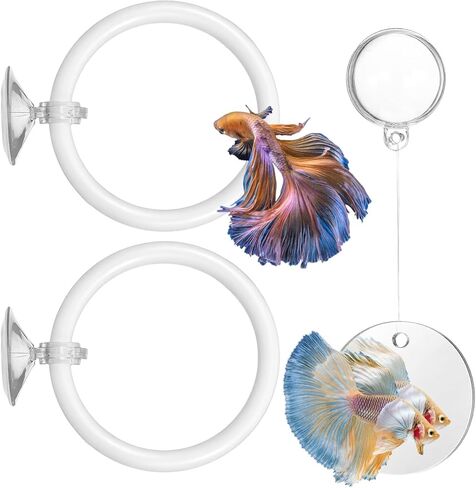 Molain Betta Fish Enrichment Toys, Betta Fish Tank Accessories 2 Training Rings 1 Mirror with Floating Ball Plastic Aquarium Enrichment Toys Set for Fishes Exercise Mental Stimulation in Kuwait