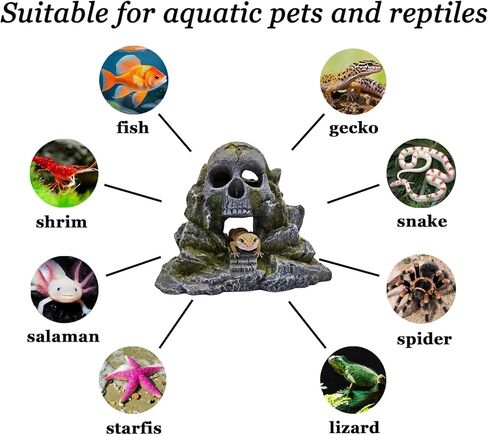 Aquarium Decoration, Crawler Box, Hidden cave, Fish Tank Decoration Accessories, Amphibians, Fighting Fish, Shrimp, Lizards, Leopards, Geckos, Hiding and Playing in Their habitats in Kuwait