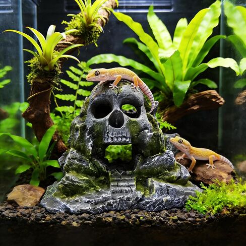 Aquarium Decoration, Crawler Box, Hidden cave, Fish Tank Decoration Accessories, Amphibians, Fighting Fish, Shrimp, Lizards, Leopards, Geckos, Hiding and Playing in Their habitats in Kuwait