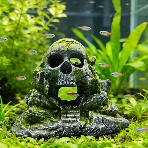 Aquarium Decoration, Crawler Box, Hidden cave, Fish Tank Decoration Accessories, Amphibians, Fighting Fish, Shrimp, Lizards, Leopards, Geckos, Hiding and Playing in Their habitats in Kuwait