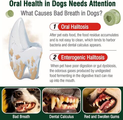 Dog Dental Chews for Bad Breath, Tartar & Gum Support, Breath Freshener Cubes Dog Dental Treats for Oral Care and Hygiene, 1.41oz/40g in Saudi Arabia