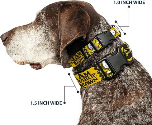 Peanuts Worldwide LLC Pet Collar, Dog Collar Plastic Buckle, Peanuts I Am Charlie Brown Poses and Zig Zag Stripe Yellows, 15 to 24 Inches 1.0 Inch Wide in Kuwait