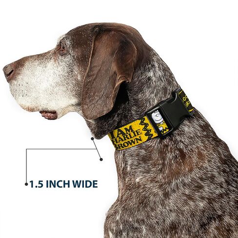 Peanuts Worldwide LLC Pet Collar, Dog Collar Plastic Buckle, Peanuts I Am Charlie Brown Poses and Zig Zag Stripe Yellows, 15 to 24 Inches 1.0 Inch Wide in Kuwait