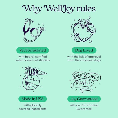 New! WellJoy Dog Treat Dental+ GutBoost | Helps Reduce Tartar | Freshens Breath | Dual-Benefit GutBoost Formulation | Vet Formulated | Made in USA | Made with Real Shredded Chicken | 24 Sticks in Saudi Arabia