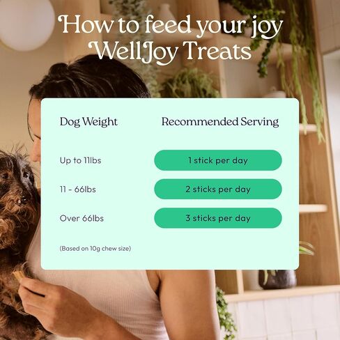 New! WellJoy Dog Treat Dental+ GutBoost | Helps Reduce Tartar | Freshens Breath | Dual-Benefit GutBoost Formulation | Vet Formulated | Made in USA | Made with Real Shredded Chicken | 24 Sticks in Saudi Arabia