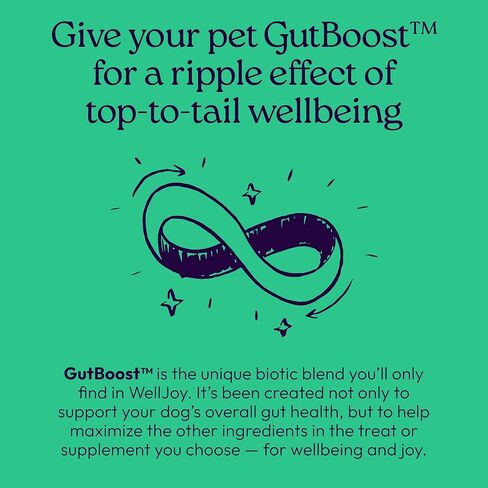 New! WellJoy Dog Treat Dental+ GutBoost | Helps Reduce Tartar | Freshens Breath | Dual-Benefit GutBoost Formulation | Vet Formulated | Made in USA | Made with Real Shredded Chicken | 24 Sticks in Saudi Arabia