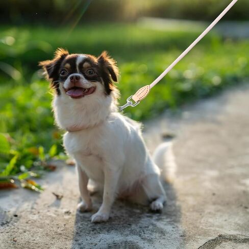 Mile High Life Small Dog Leash, Thin Lightweight Reflective Rope Leash with Genuine Leather Connection, Great for Small Medium Dogs (Pink, 48 Inch-1/3) in Kuwait
