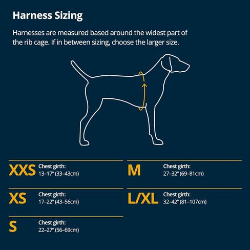 Ruffwear, Ridgeline Dog Harness, XPAC RX30, Fidlock Magnetic Buckles, 3 Leash Points, Supportive Belly Panel, Reflective & Light Loop, Low-Profile Handle, Obsidian Black, Medium in Saudi Arabia