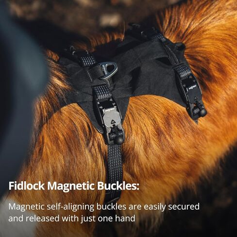 Ruffwear, Ridgeline Dog Harness, XPAC RX30, Fidlock Magnetic Buckles, 3 Leash Points, Supportive Belly Panel, Reflective & Light Loop, Low-Profile Handle, Obsidian Black, Medium in Saudi Arabia