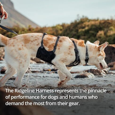 Ruffwear, Ridgeline Dog Harness, XPAC RX30, Fidlock Magnetic Buckles, 3 Leash Points, Supportive Belly Panel, Reflective & Light Loop, Low-Profile Handle, Obsidian Black, Medium in Saudi Arabia