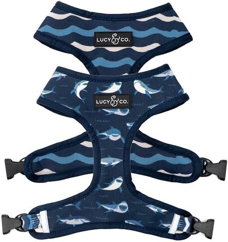 Lucy & Co., Reversible Dog Harness The Shark Attack Medium in Kuwait