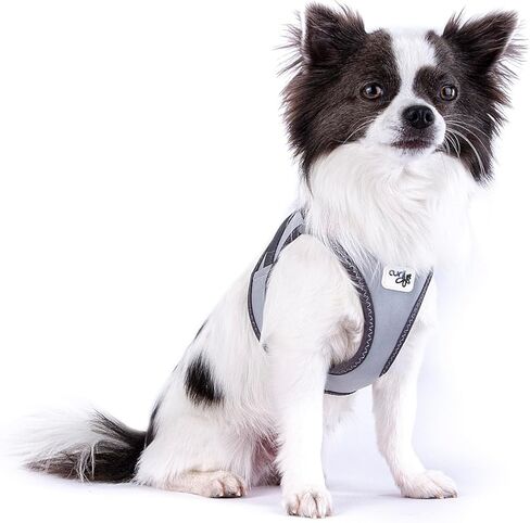 Glow curli Clasp Vest Harness Reflective Gray XL in Kuwait