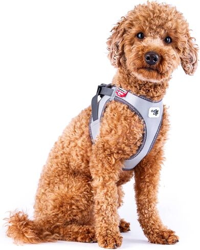 Glow curli Clasp Vest Harness Reflective Gray XL in Kuwait