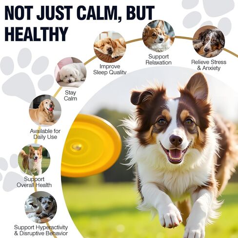 Calming Chews for Dogs 200ct, Dog Calming Chews - Anxiety and Stress Relief Treats Melatonin Bites Sleep Aid for Small/Medium/Large Dogs Calm Dog - Separation, Fireworks, Thunder, Barking - Chicken in Saudi Arabia