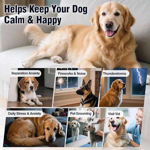 Calming Chews for Dogs 200ct, Dog Calming Chews - Anxiety and Stress Relief Treats Melatonin Bites Sleep Aid for Small/Medium/Large Dogs Calm Dog - Separation, Fireworks, Thunder, Barking - Chicken in Kuwait