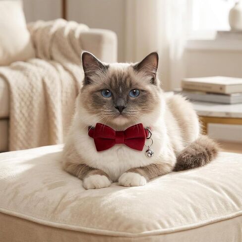 Amaxiu 6 Pack Cat Collars with Bow Tie and Bell, Velvet Cat Collars Cute Cat Bow Tie Collar Solid Color Removable Cats with Safety Buckle for Cats Kitten Puppy Pet Accessories in Kuwait