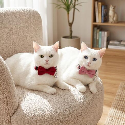 Amaxiu 6 Pack Cat Collars with Bow Tie and Bell, Velvet Cat Collars Cute Cat Bow Tie Collar Solid Color Removable Cats with Safety Buckle for Cats Kitten Puppy Pet Accessories in Kuwait