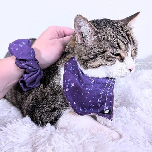 2-Piece Matching Cat & Owner Set – Galaxy Bandana & Scrunchie, Cute Pet & Human Outfit, Adjustable Cat Bandana, Soft Fabric, Gift for Cat Lovers in Kuwait