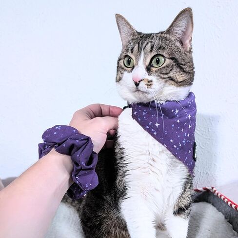 2-Piece Matching Cat & Owner Set – Galaxy Bandana & Scrunchie, Cute Pet & Human Outfit, Adjustable Cat Bandana, Soft Fabric, Gift for Cat Lovers in Kuwait