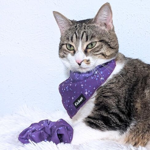 2-Piece Matching Cat & Owner Set – Galaxy Bandana & Scrunchie, Cute Pet & Human Outfit, Adjustable Cat Bandana, Soft Fabric, Gift for Cat Lovers in Kuwait