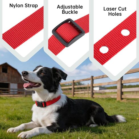 طوق بديل متوافق مع Petsafe إذا كان 100 حزمة من 2، بوليستر قابل للتعديل وخفيف الوزن، استبدال طوق متوافق مع Petsafe لأطواق السياج الداخلية واللاسلكية، ملاءمة مريحة in Kuwait