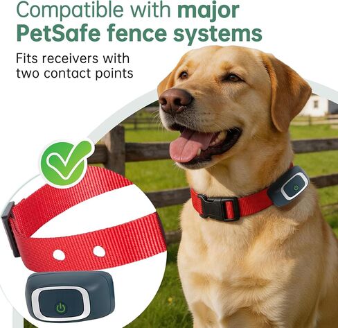 طوق بديل متوافق مع Petsafe إذا كان 100 حزمة من 2، بوليستر قابل للتعديل وخفيف الوزن، استبدال طوق متوافق مع Petsafe لأطواق السياج الداخلية واللاسلكية، ملاءمة مريحة in Kuwait