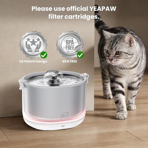 Cat Water Fountain Filters 1 Pack Five Stages Filtration Cat Fountain Replacement Filters for Stainless Steel Water Fountain 2 Months Set of Replacement Filters for Ultra Quiet Cat Fountain in Kuwait