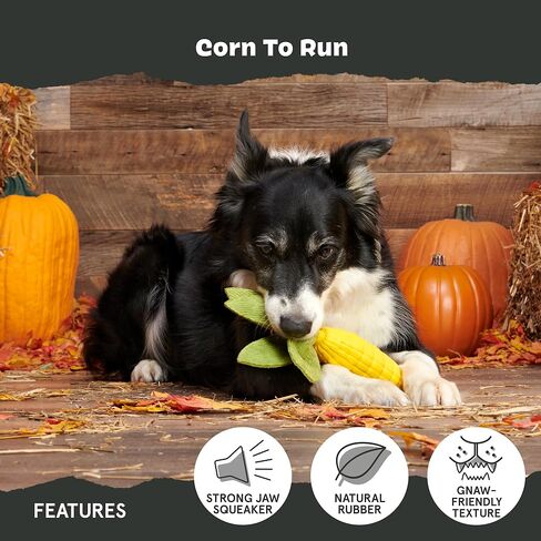 لعبة Barkbox Corn to Run للكلاب | ذرة مطاطية طبيعية معطرة بالكريمة مع أوراق قطيفة ثراشي وأصوات زقزقة | لعبة المضغ والارتداد للكلاب الكبيرة in Kuwait
