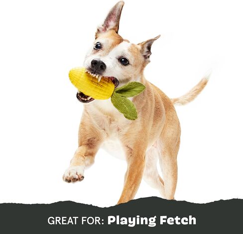 لعبة Barkbox Corn to Run للكلاب | ذرة مطاطية طبيعية معطرة بالكريمة مع أوراق قطيفة ثراشي وأصوات زقزقة | لعبة المضغ والارتداد للكلاب الكبيرة in Kuwait