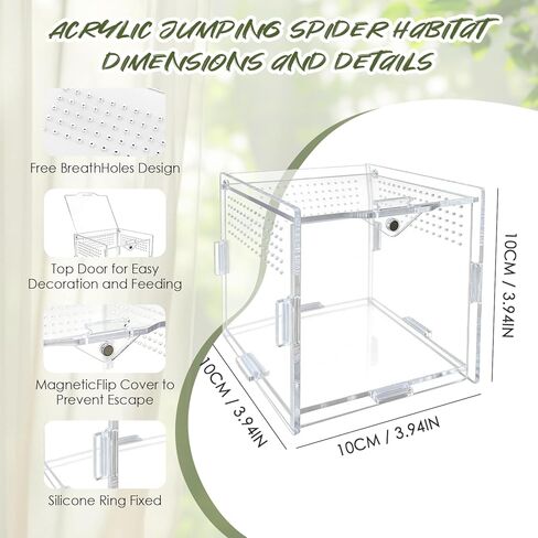 Jumping Spider Enclosure, 4"x4"x4" Acrylic Habitat Terrarium - Top Opening with Ventilation & Feeding Holes, Small Pet Tank for Jumping Spiders, Snails, Insects, Isopods in Kuwait
