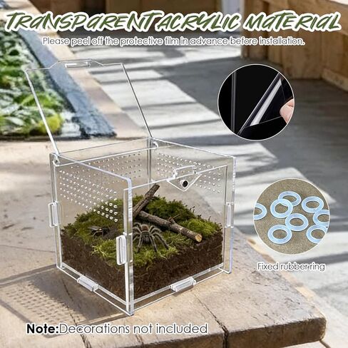 Jumping Spider Enclosure, 4"x4"x4" Acrylic Habitat Terrarium - Top Opening with Ventilation & Feeding Holes, Small Pet Tank for Jumping Spiders, Snails, Insects, Isopods in Kuwait