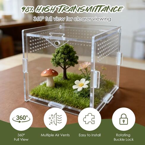 Jumping Spider Enclosure, 4"x4"x4" Acrylic Habitat Terrarium - Top Opening with Ventilation & Feeding Holes, Small Pet Tank for Jumping Spiders, Snails, Insects, Isopods in Kuwait