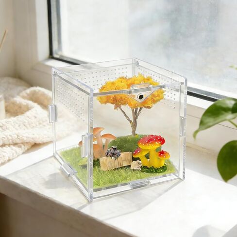 Jumping Spider Enclosure, 4"x4"x4" Acrylic Habitat Terrarium - Top Opening with Ventilation & Feeding Holes, Small Pet Tank for Jumping Spiders, Snails, Insects, Isopods in Kuwait