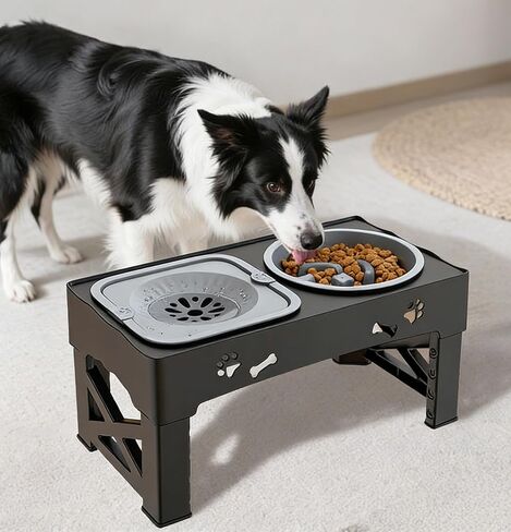 Kaiyue 2-in-1 Elevated Slow Feeder Dog Bowls Stand with No Spill Water Bowl, 5 Height Adjustable Raised Dog Bowls ，Non-Skid Pet Food Feeding Set for Small to Large Dogs in Kuwait